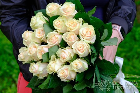 Букет из 19 кремовых роз "Талея"